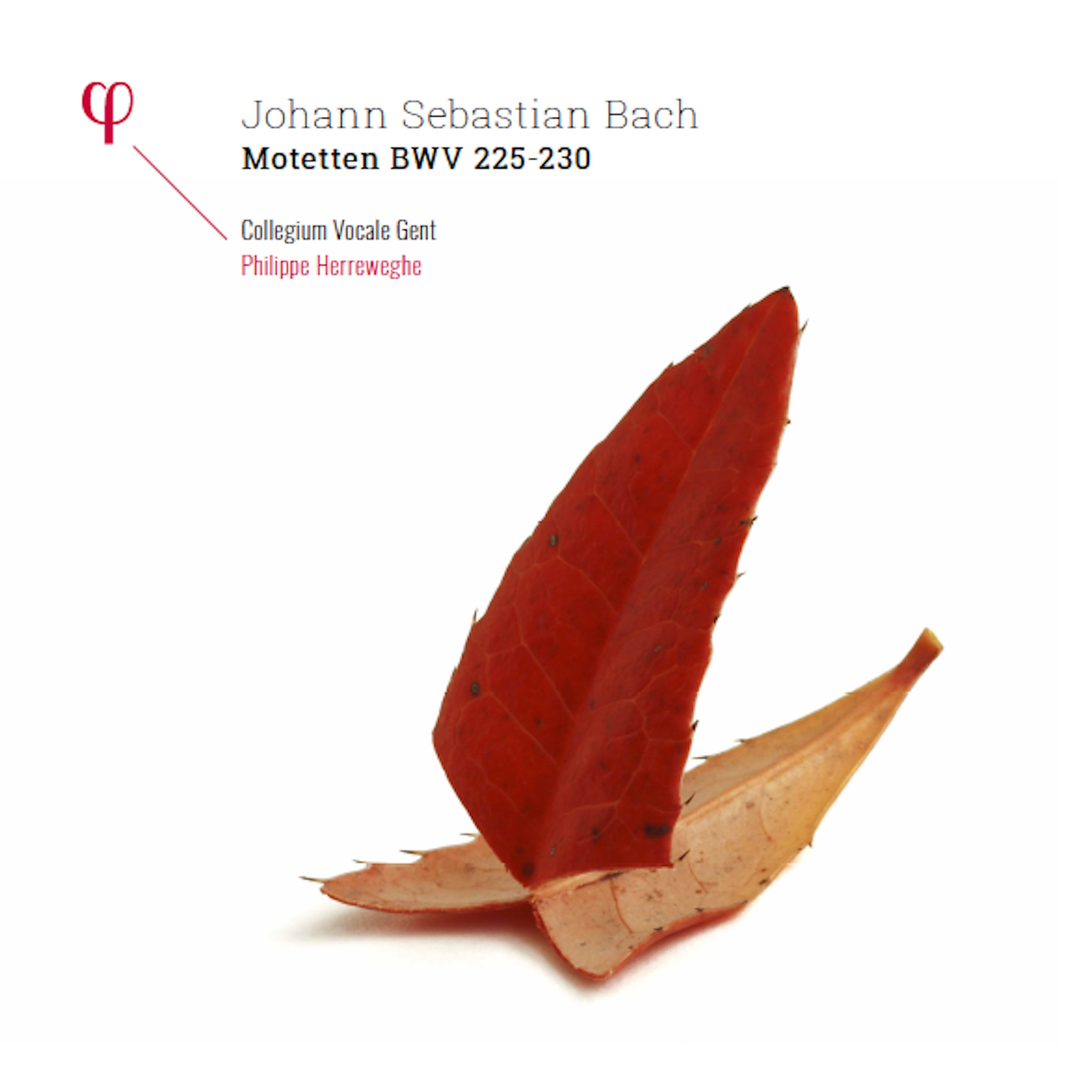 Bach: Motetten, BWV 225–230 album cover
