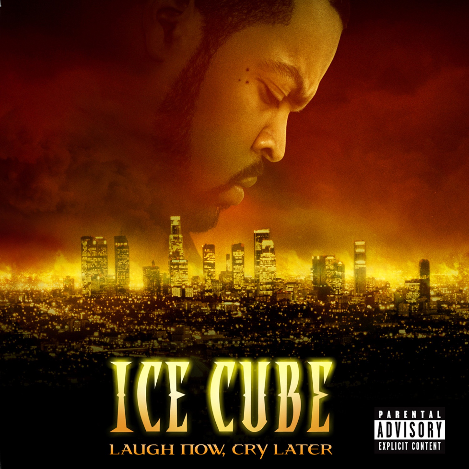 Laugh Now, Cry Later album cover