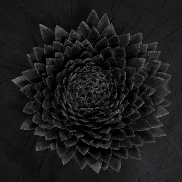 Obsidian album cover