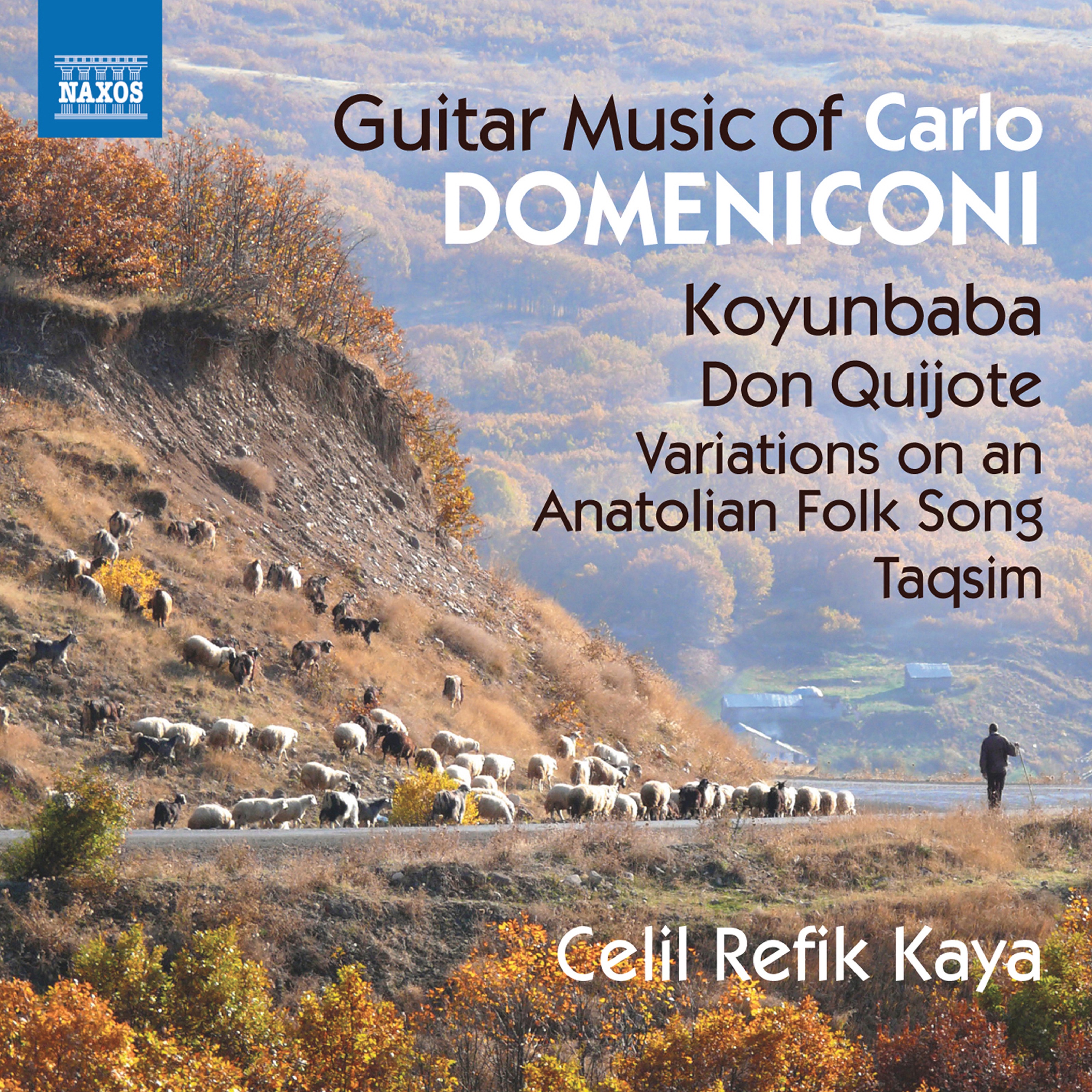Domeniconi: Guitar Music album cover