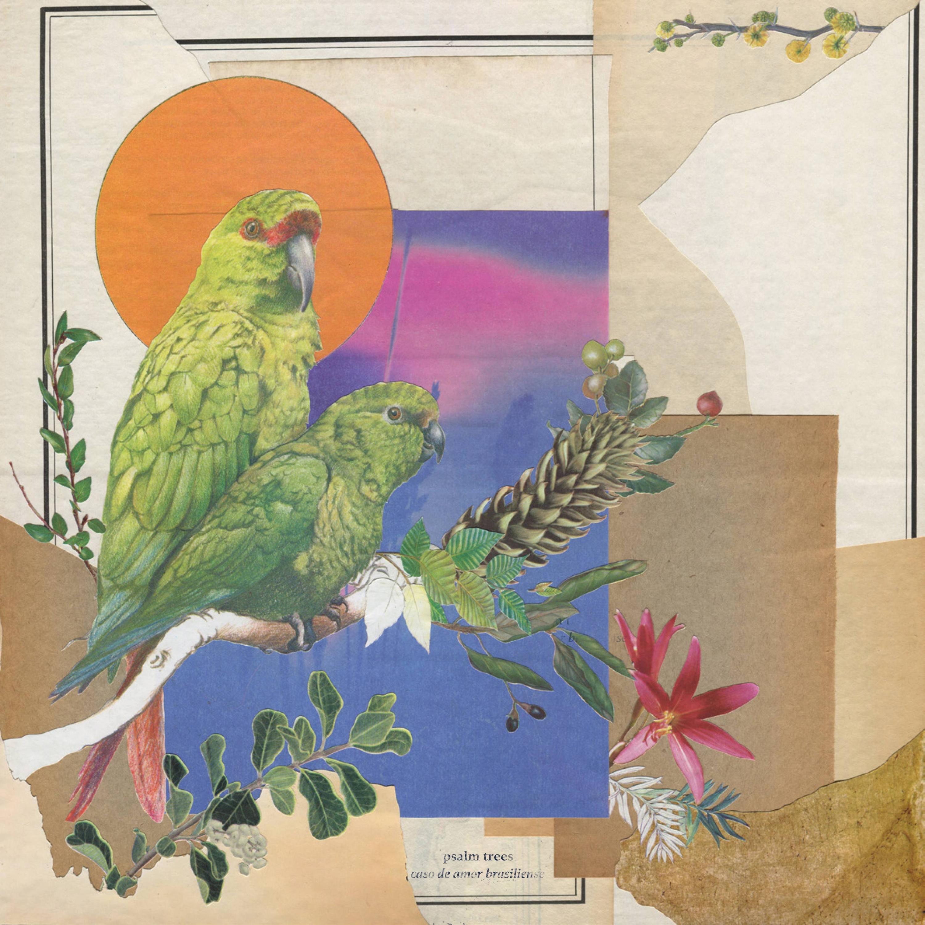 Caso De Amor Brasileiro album cover