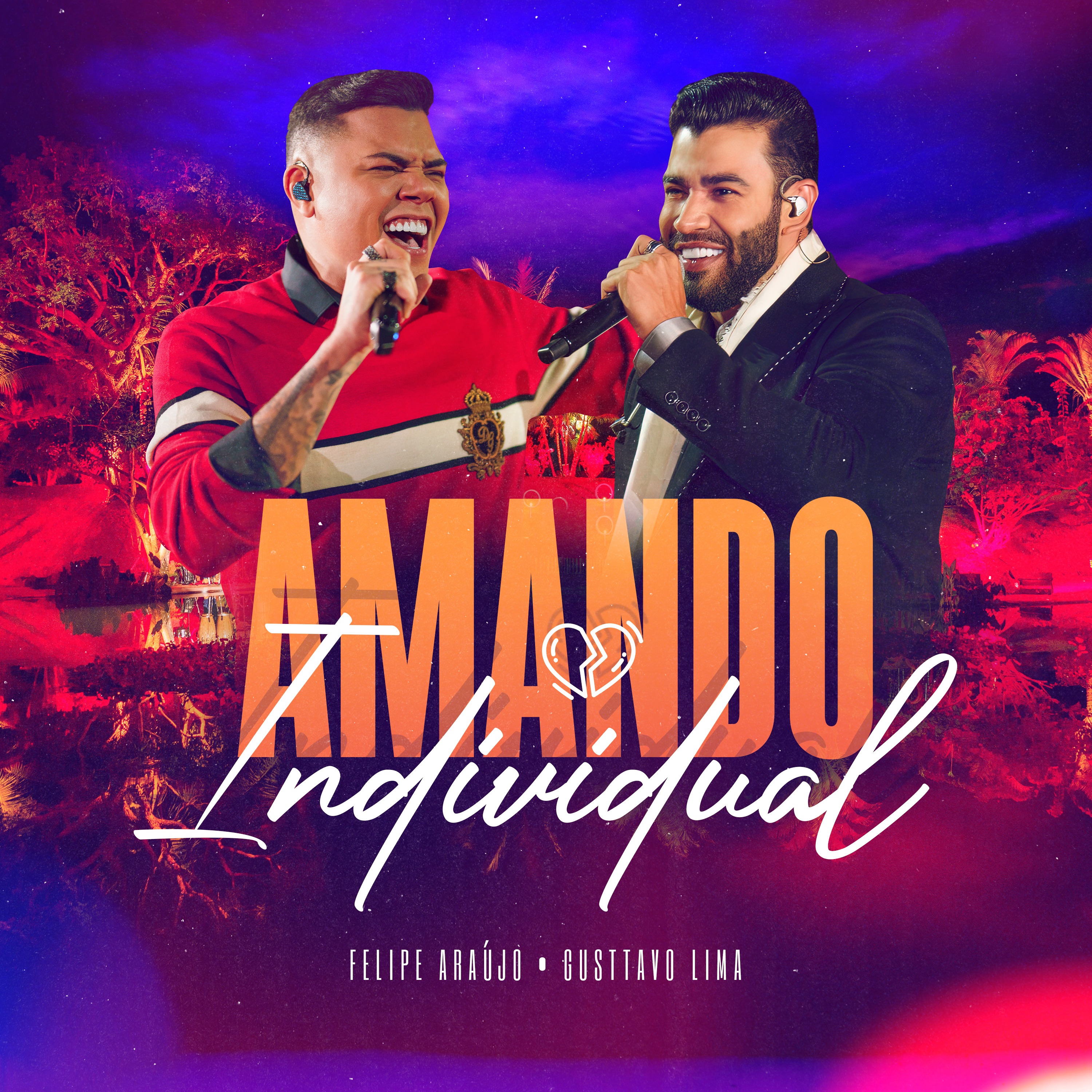 Amando Individual - Single album cover
