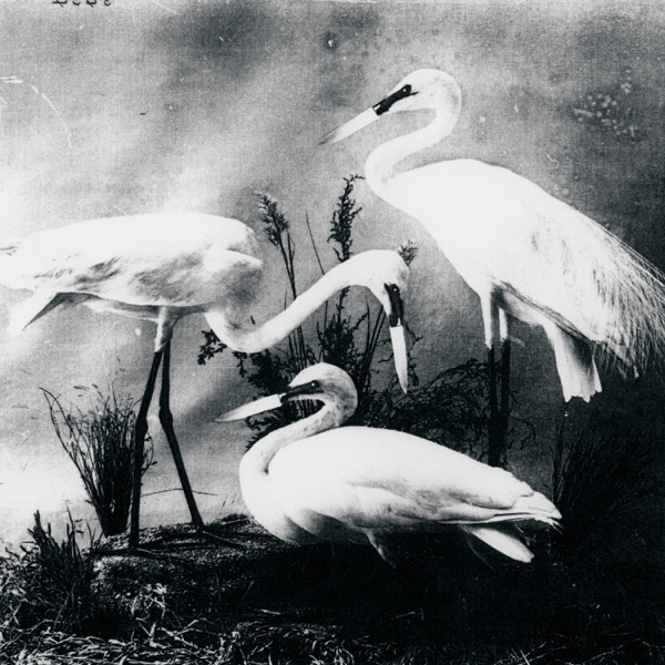 Buzzkill(er) - Single album cover