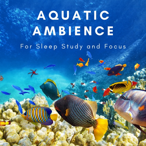 Aquatic Ambience album cover