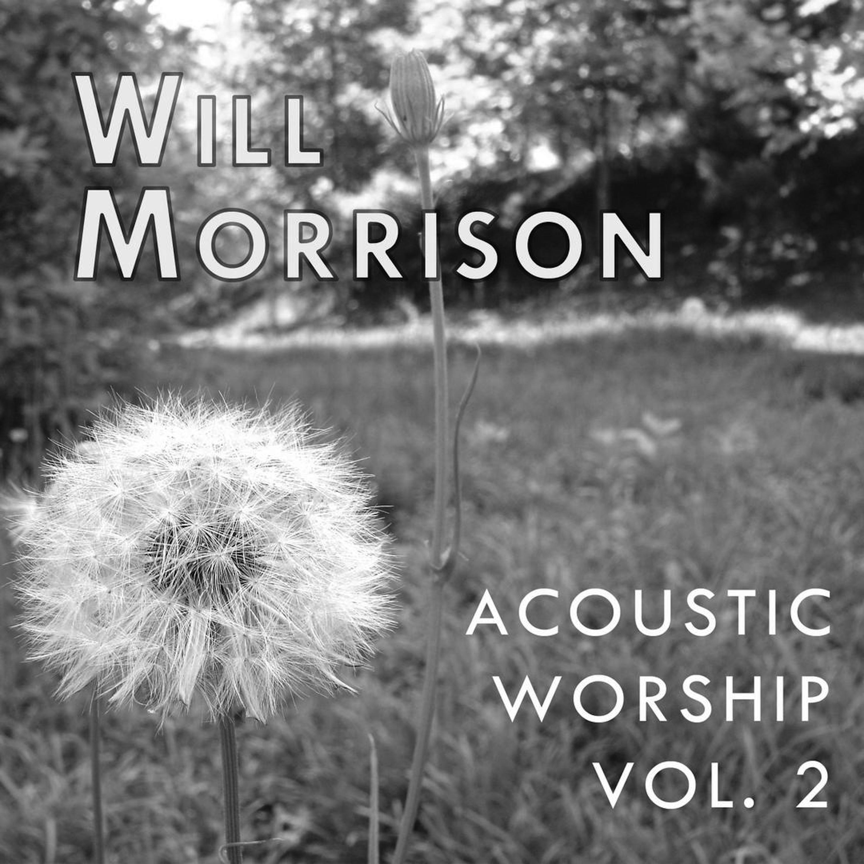 Acoustic Worship, Vol. 2 (Acoustic Version) album cover