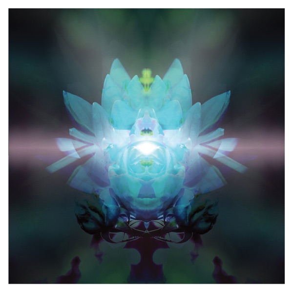 In Diamond Light album cover