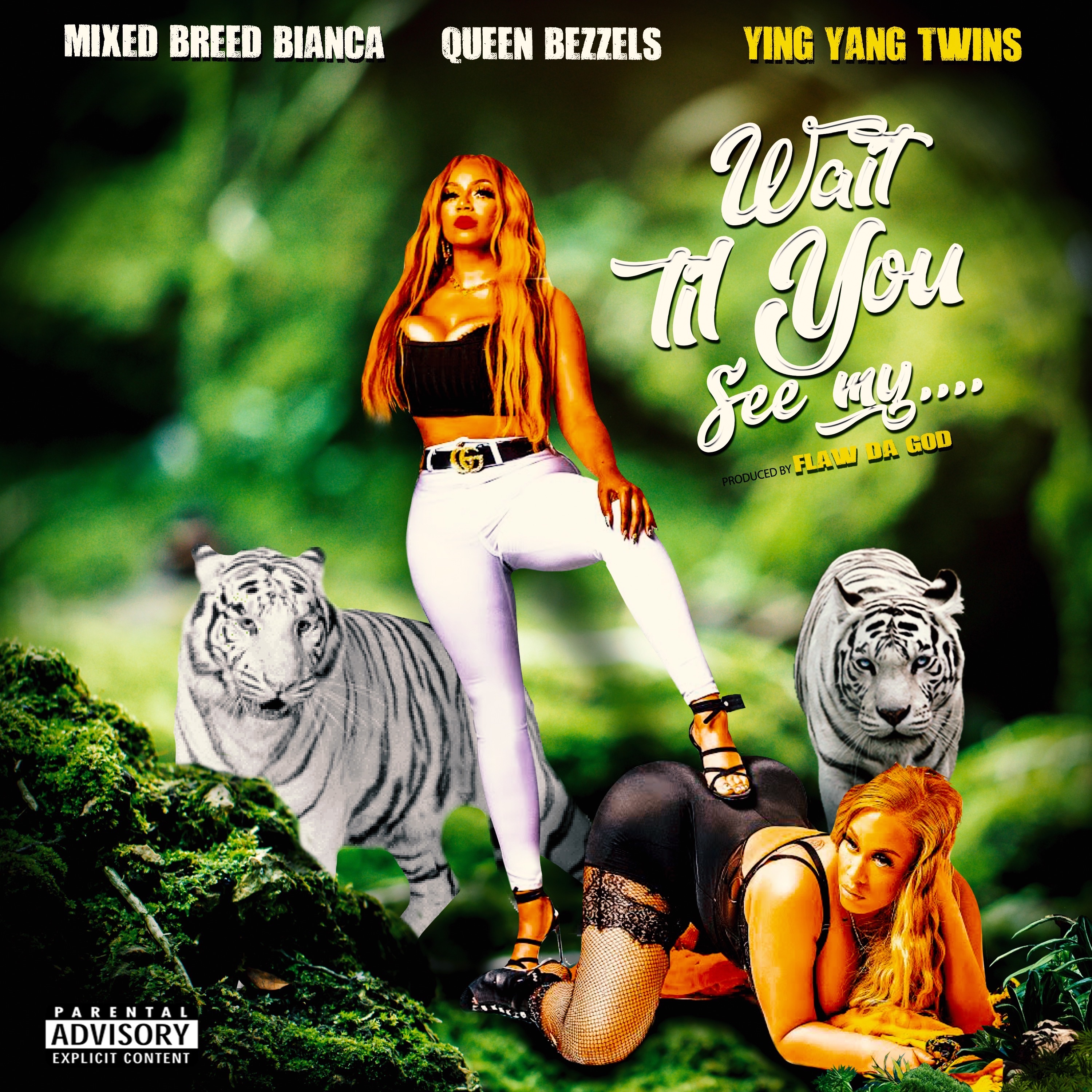 Wait Til You See My (feat. Ying Yang Twins & Queen Bezzels) - Single album cover