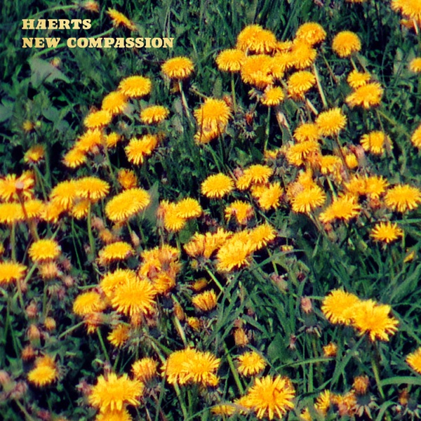 New Compassion - Single album cover