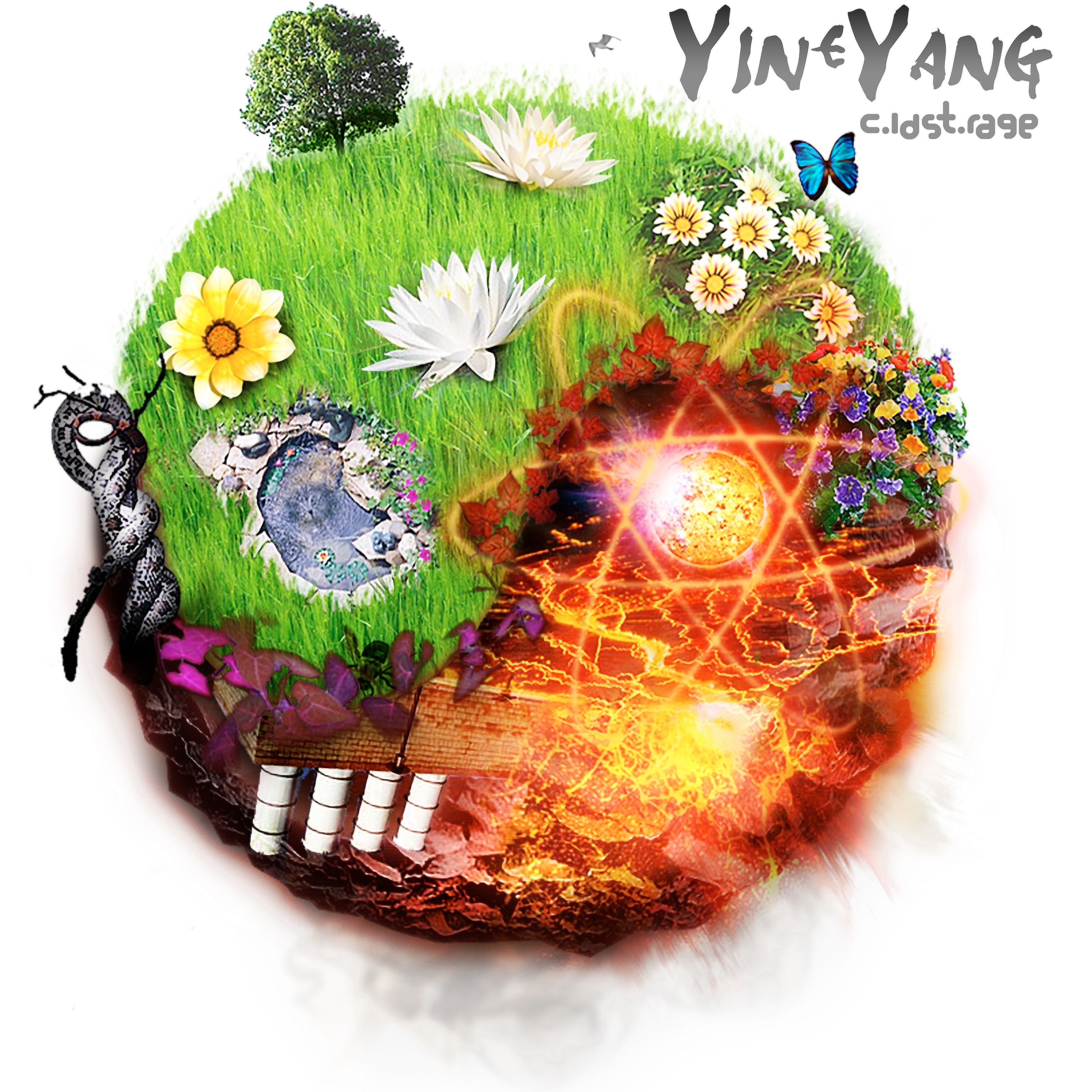 Yin & Yang - Single album cover