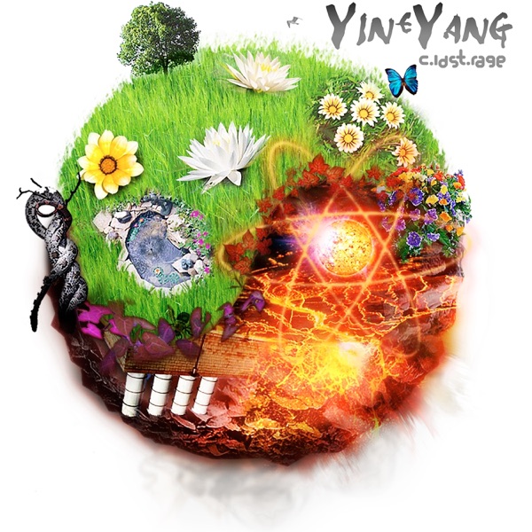 Yin & Yang - Single album cover