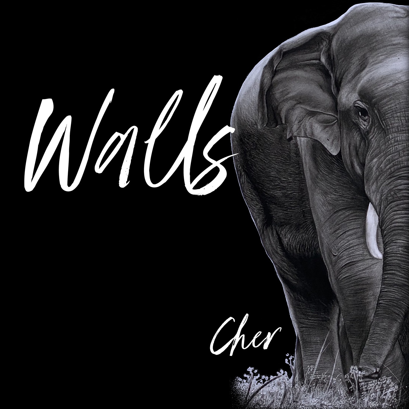 Walls - Single album cover