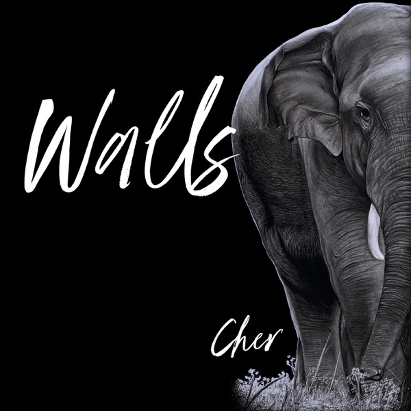 Walls - Single album cover