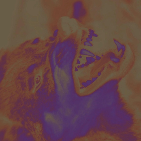 Wolf - Single album cover
