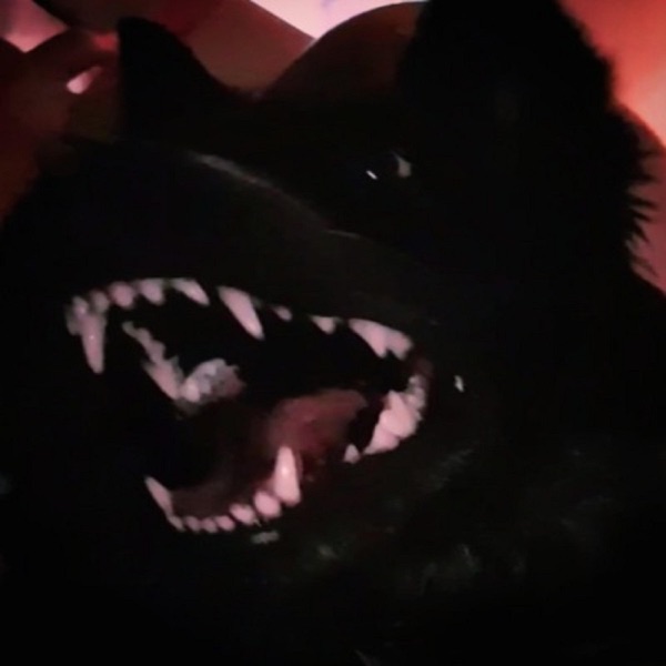 City Gold - Single album cover