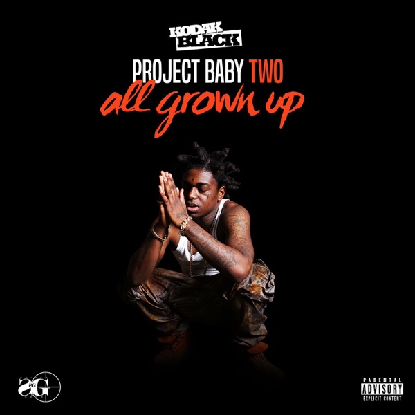 Project Baby 2: All Grown Up (Deluxe) album cover