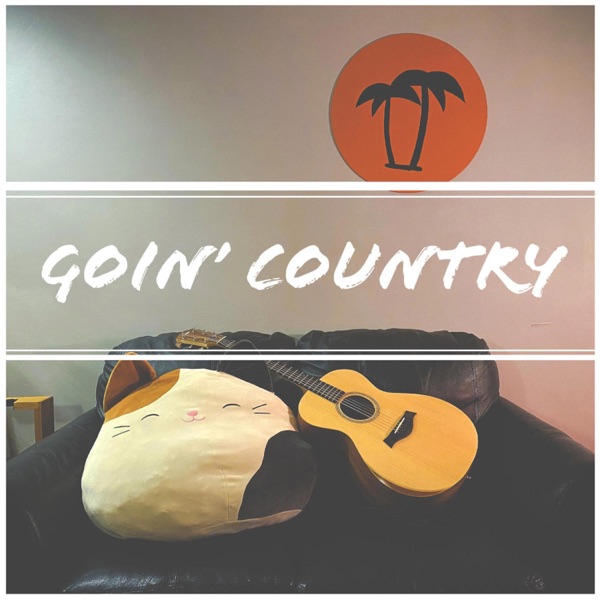 Fat Lip (Country Version) [Country Version] - Single album cover