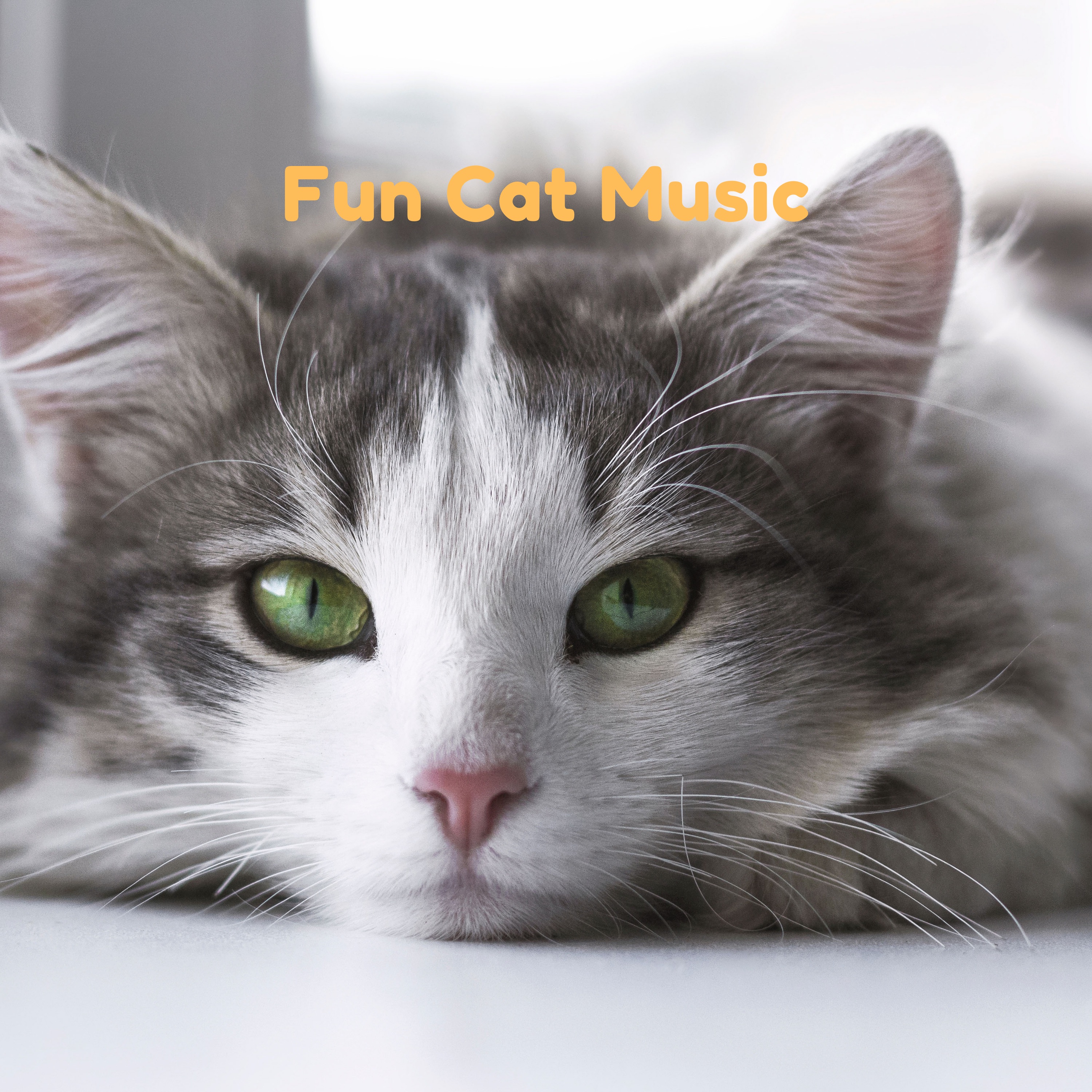 Fun Cat Music - Single album cover