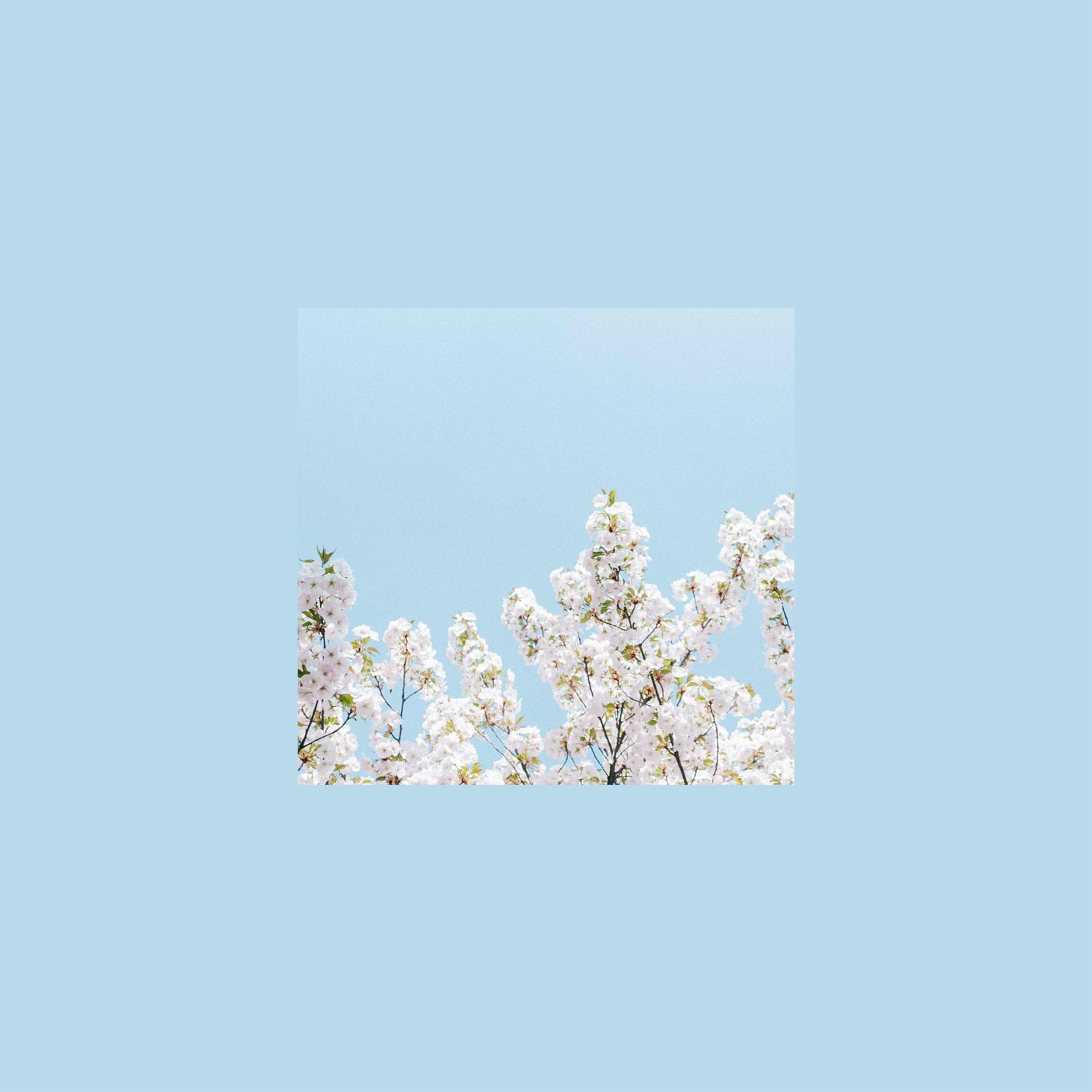 Within - Single album cover