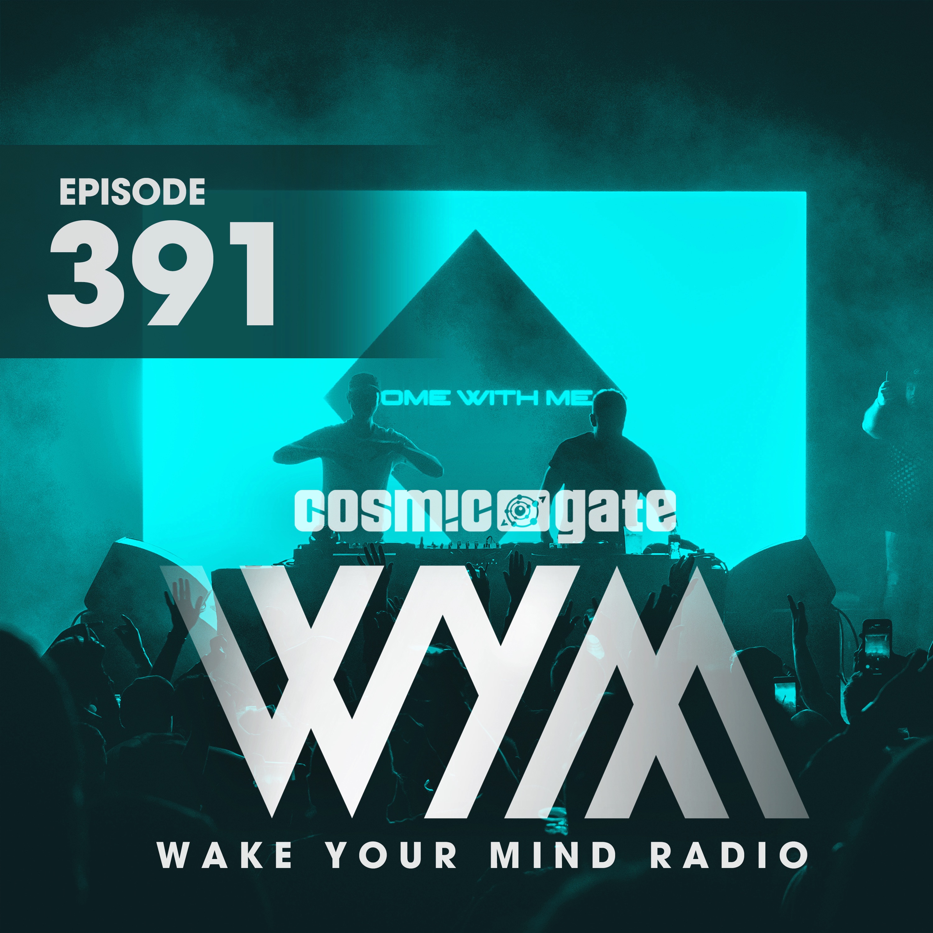 Wake Your Mind Radio 391 album cover