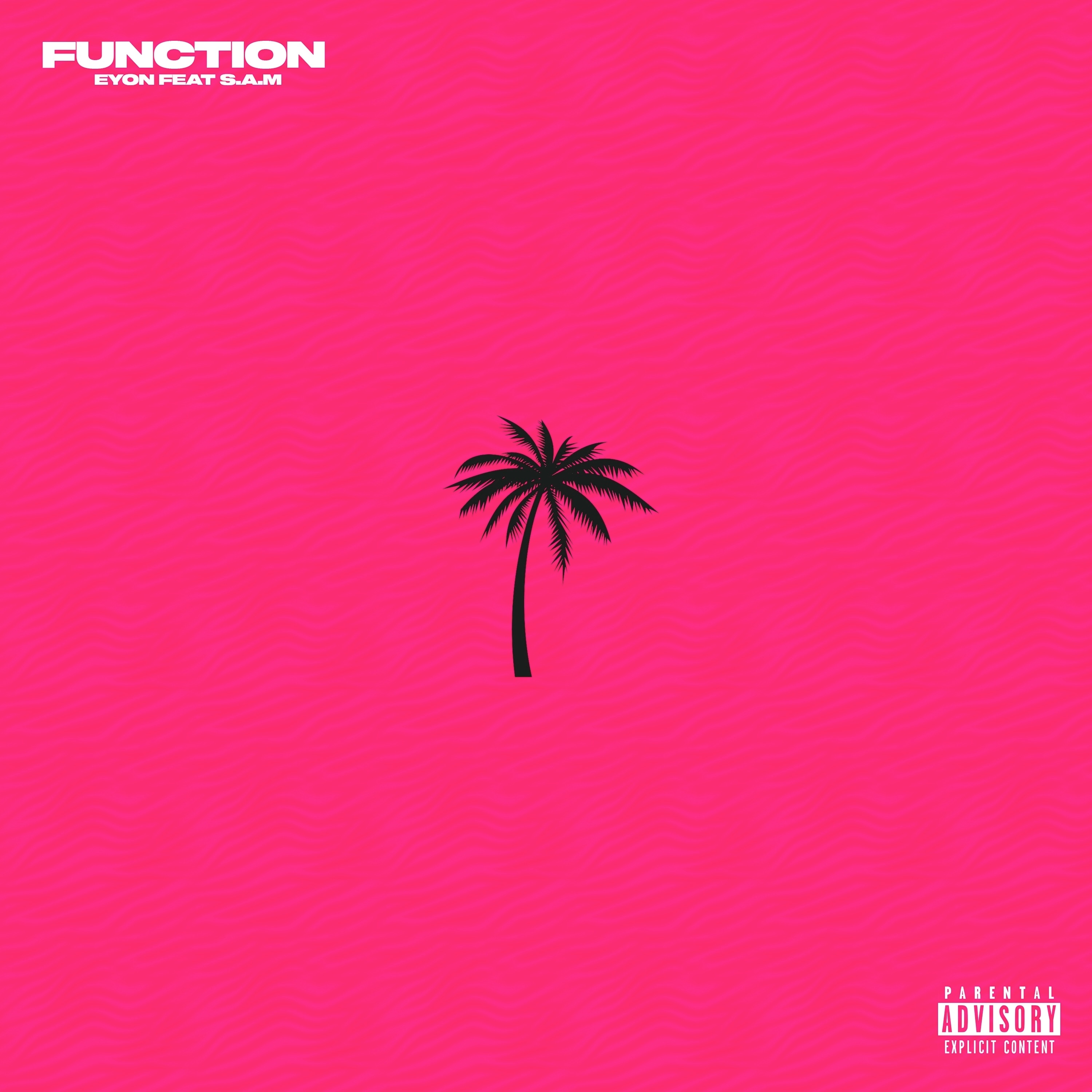 Function (feat. sam) - Single album cover