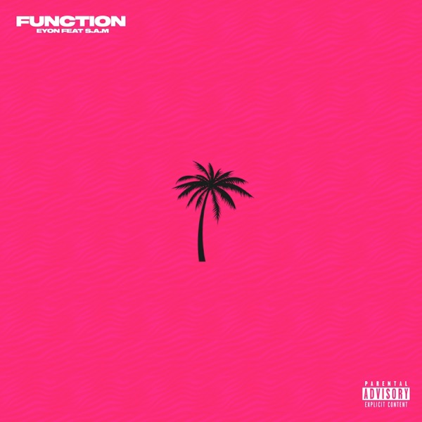 Function (feat. sam) - Single album cover