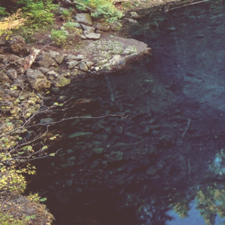 Omni Gardens Portrait