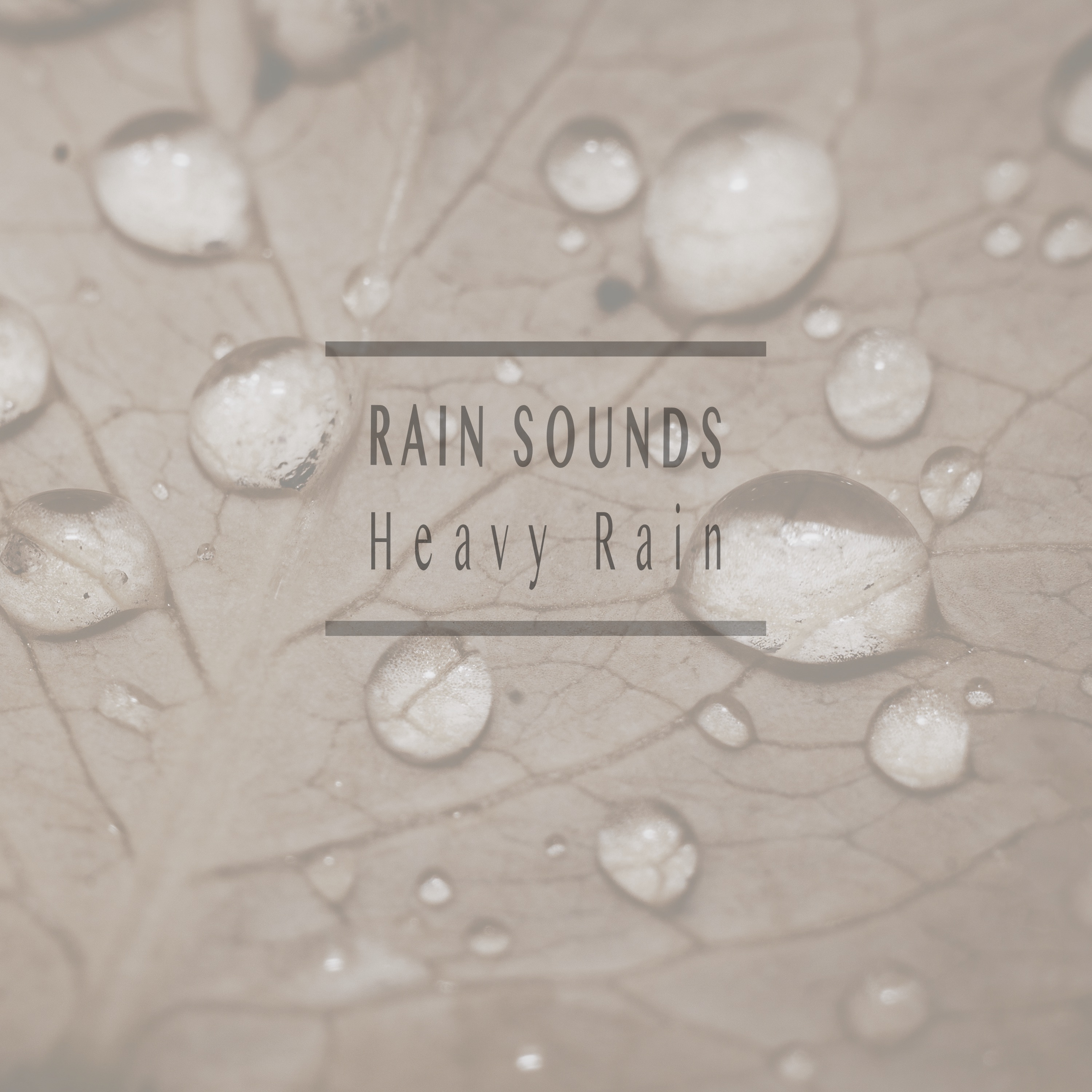 Heavy Rain album cover