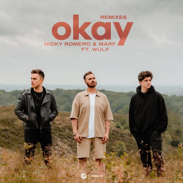 Okay (feat. Wulf) [Remixes] - Single album cover