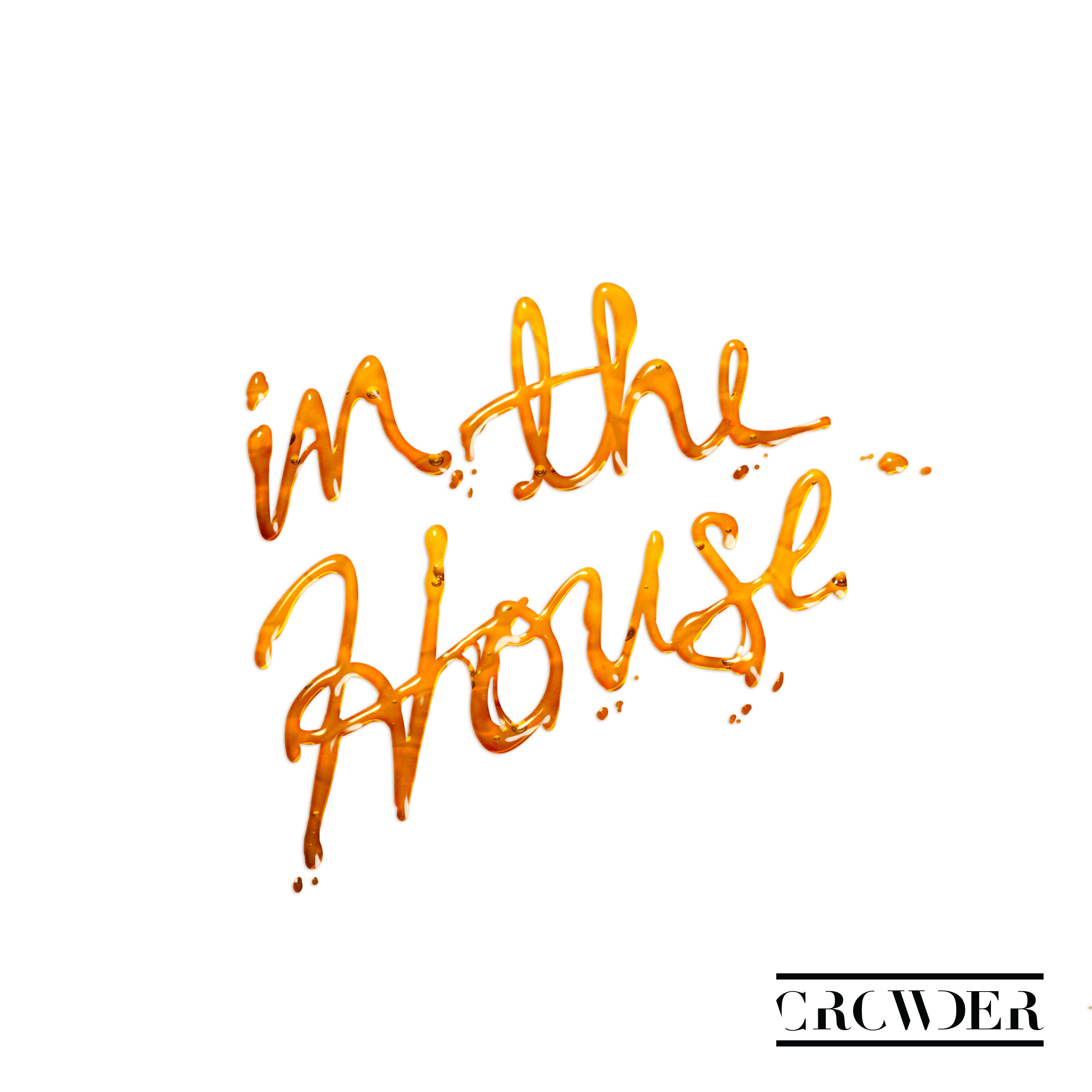 In The House - Single album cover