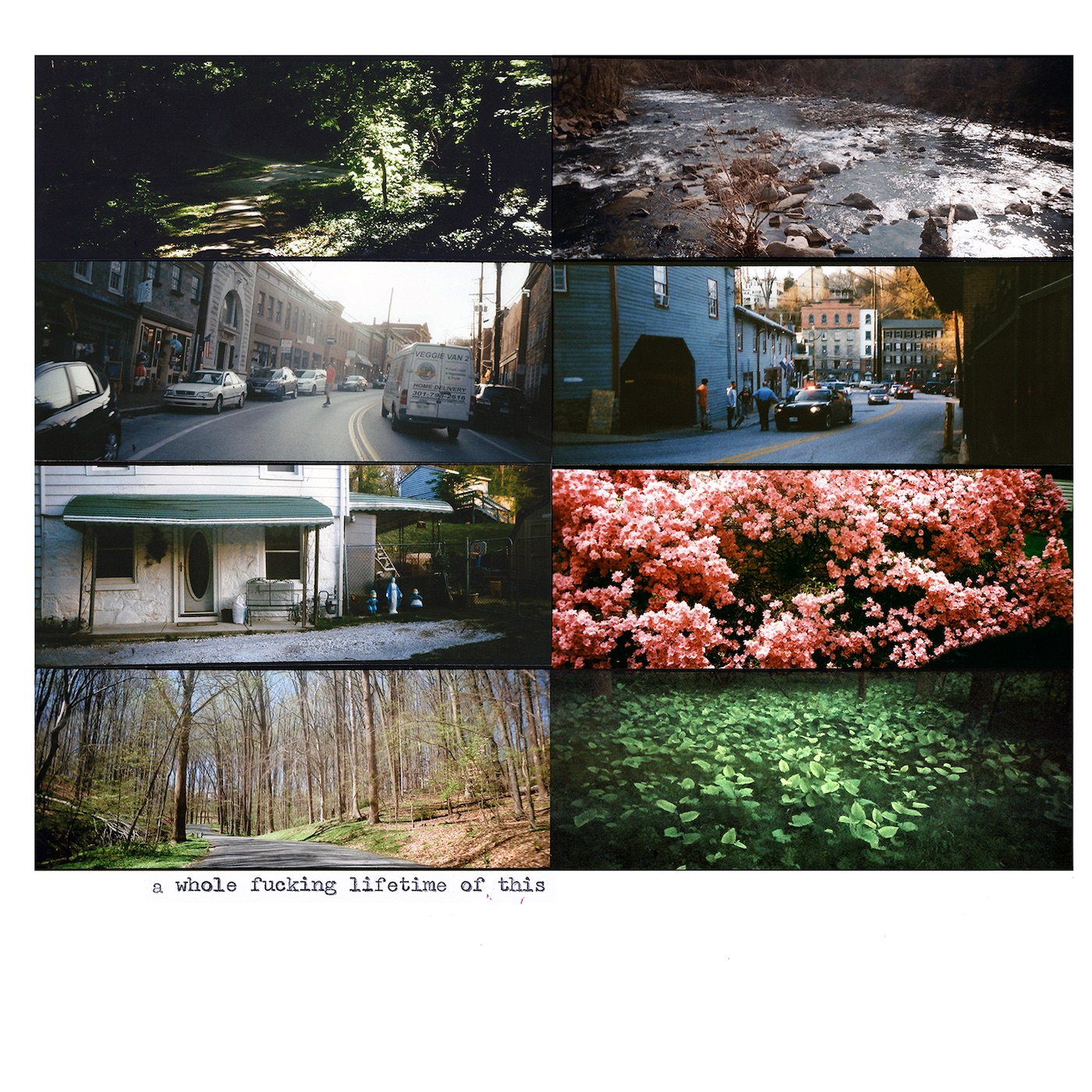 A Whole F*****g Lifetime of This album cover