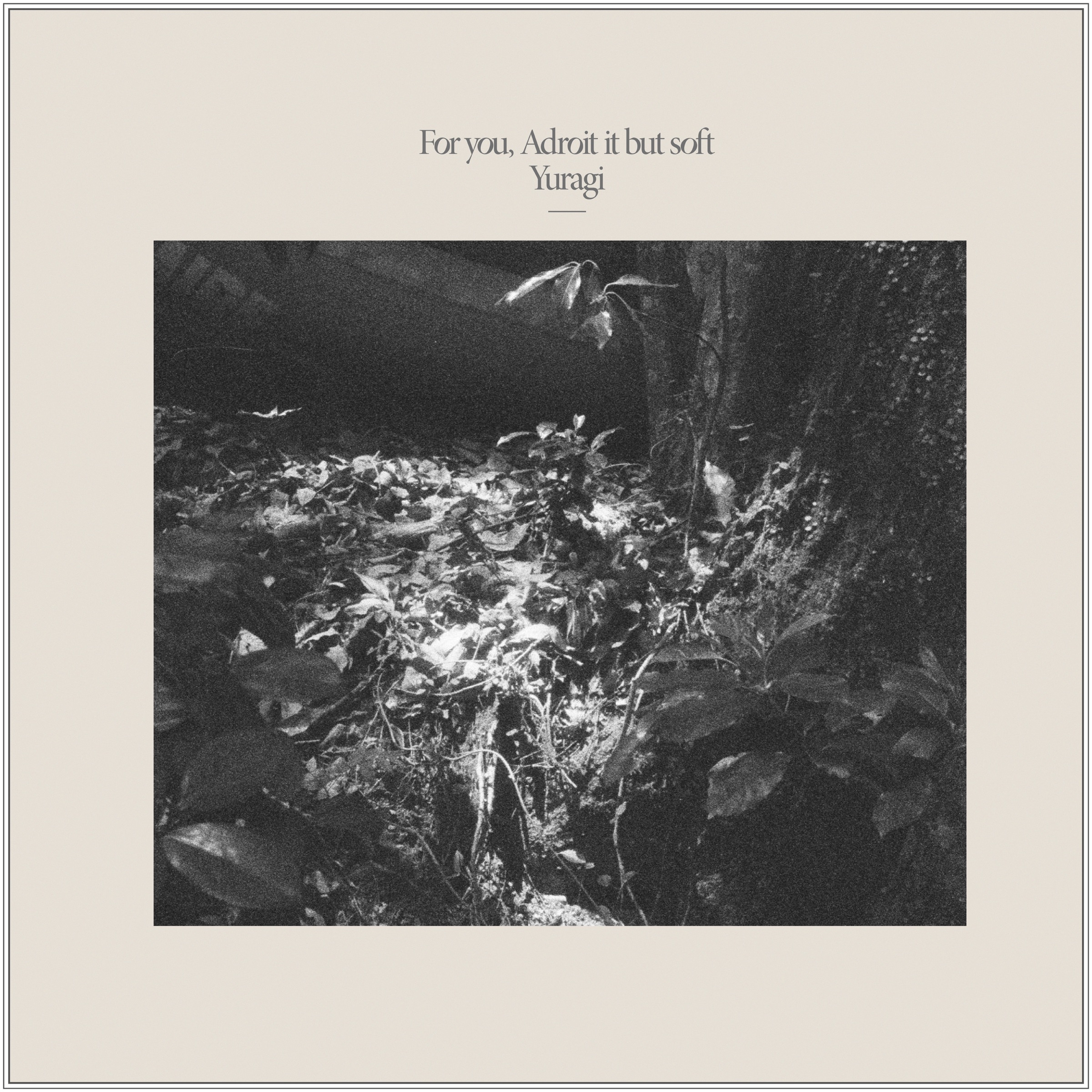 For you, Adroit it but soft album cover