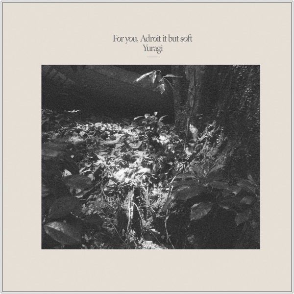 For you, Adroit it but soft album cover