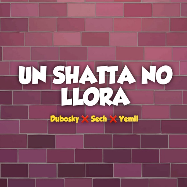 Un Shatta No Llora - Single album cover