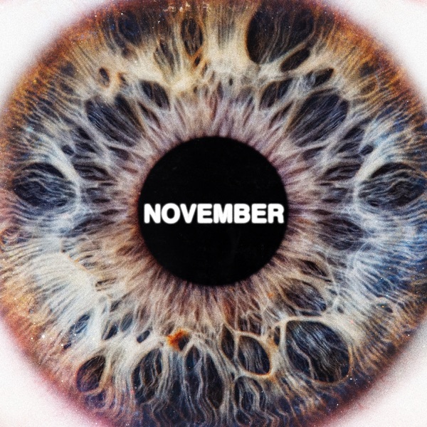November album cover