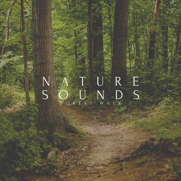 Nature Sounds Forest Walk - Single album cover