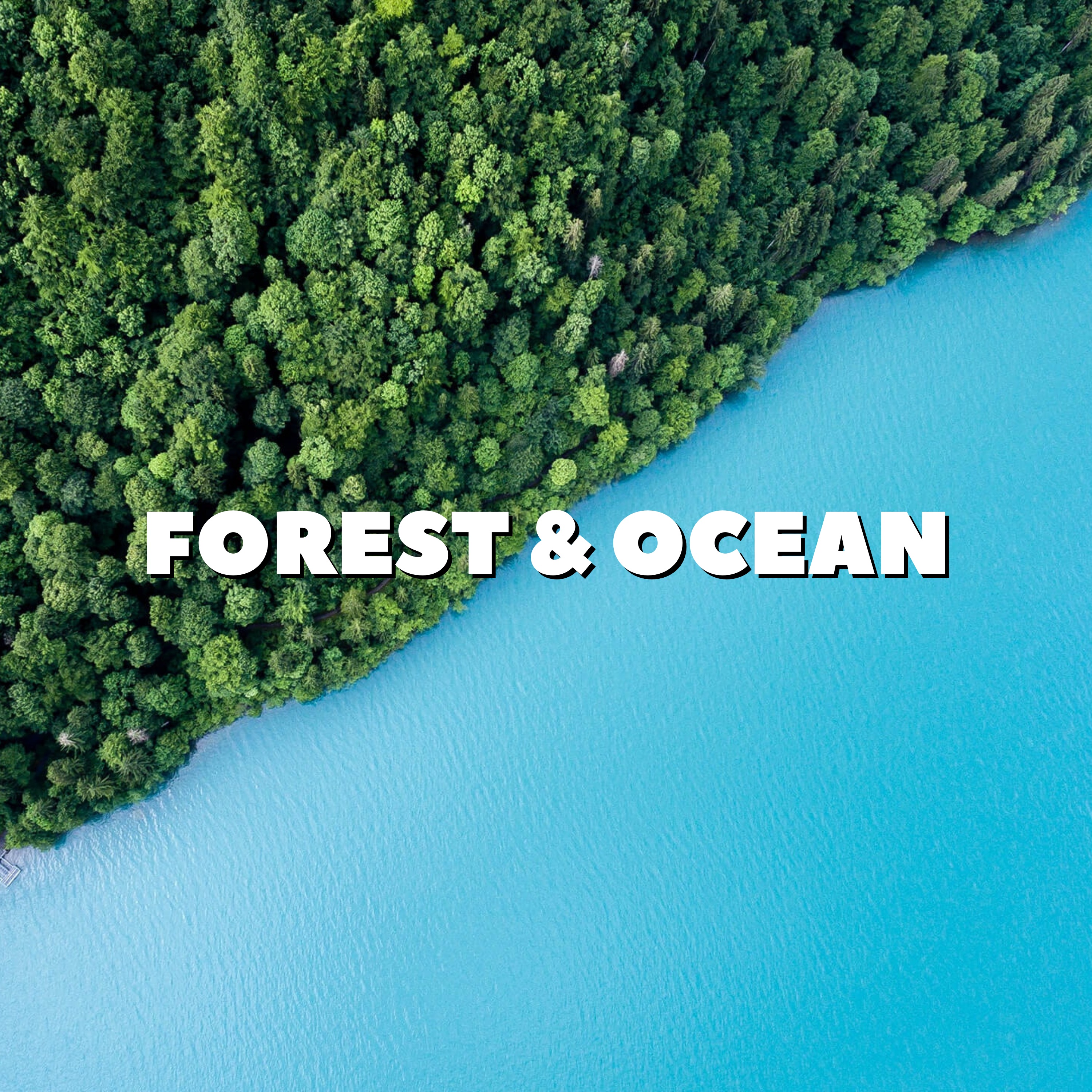 Forest & Ocean - Single album cover
