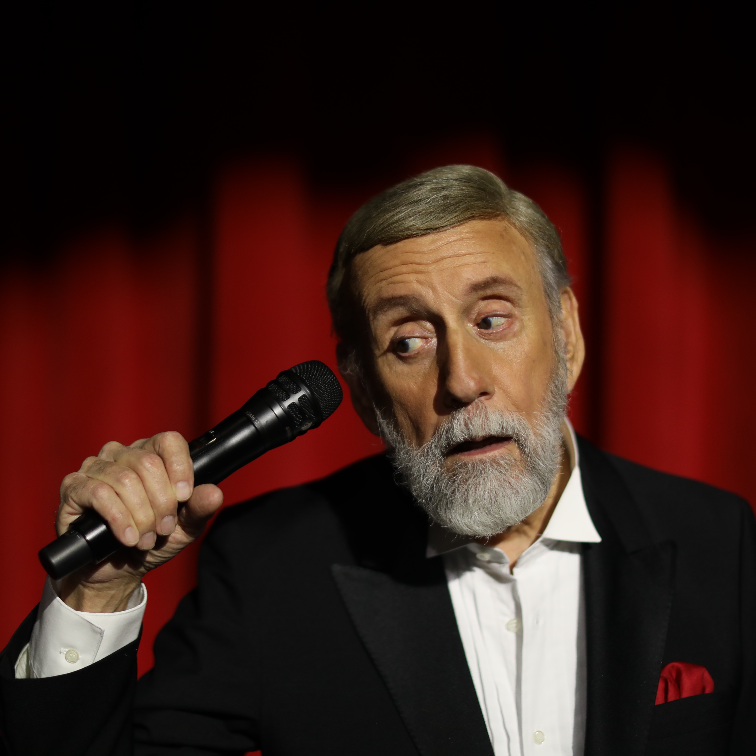 Ray Stevens Portrait