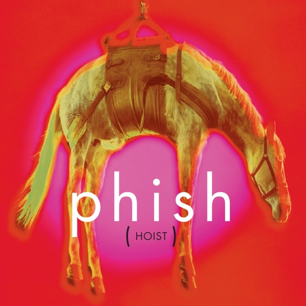 Hoist album cover