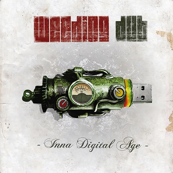 Inna Digital Age album cover