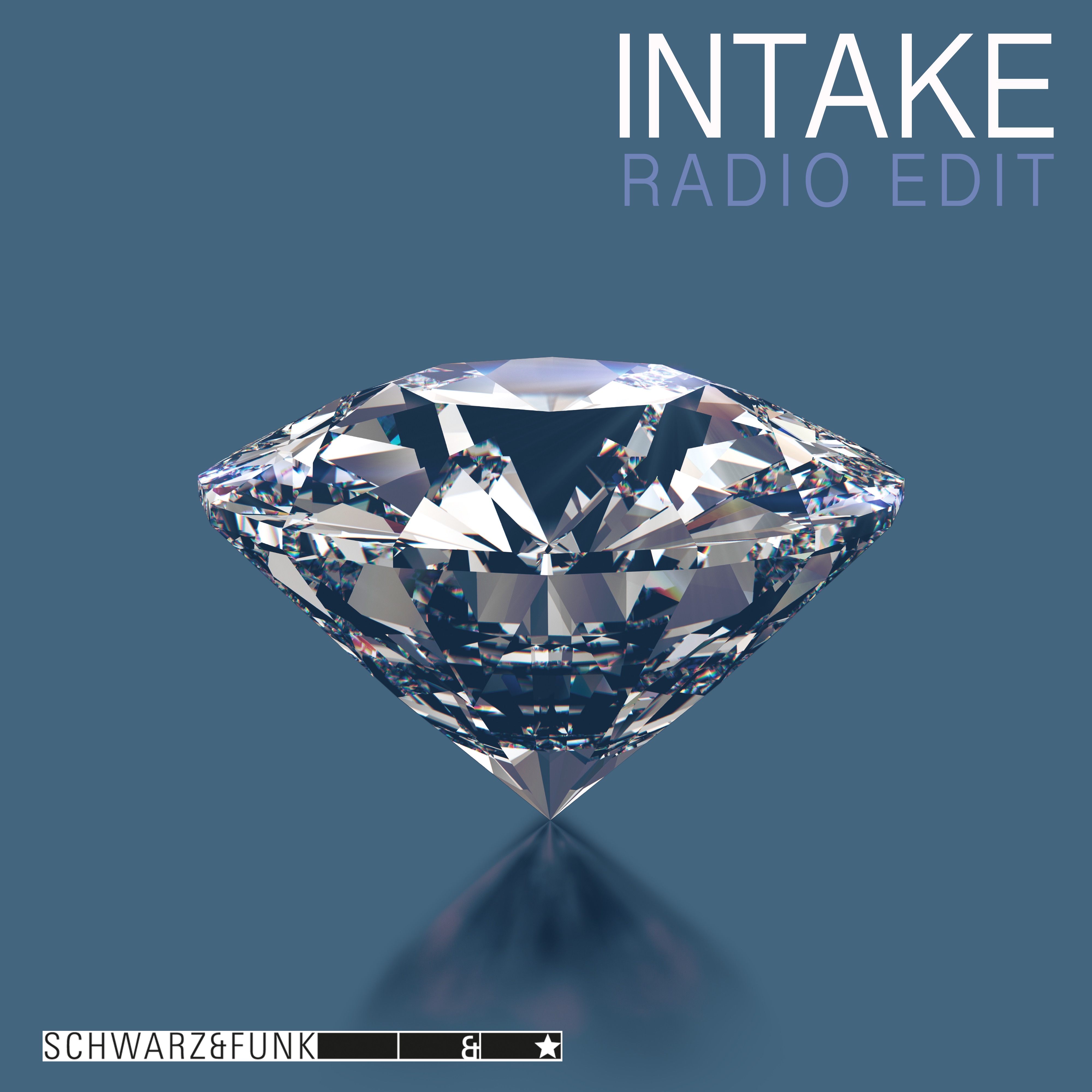 Intake (Radio Edit) - Single album cover