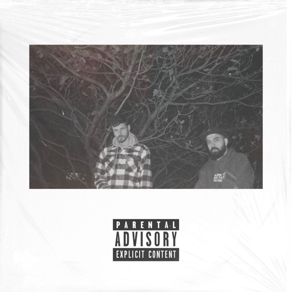 Controle de danos - Single album cover