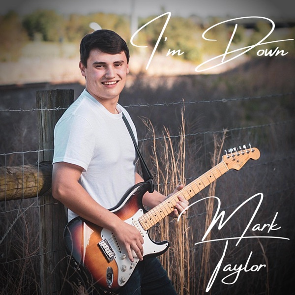 I'm Down - Single album cover