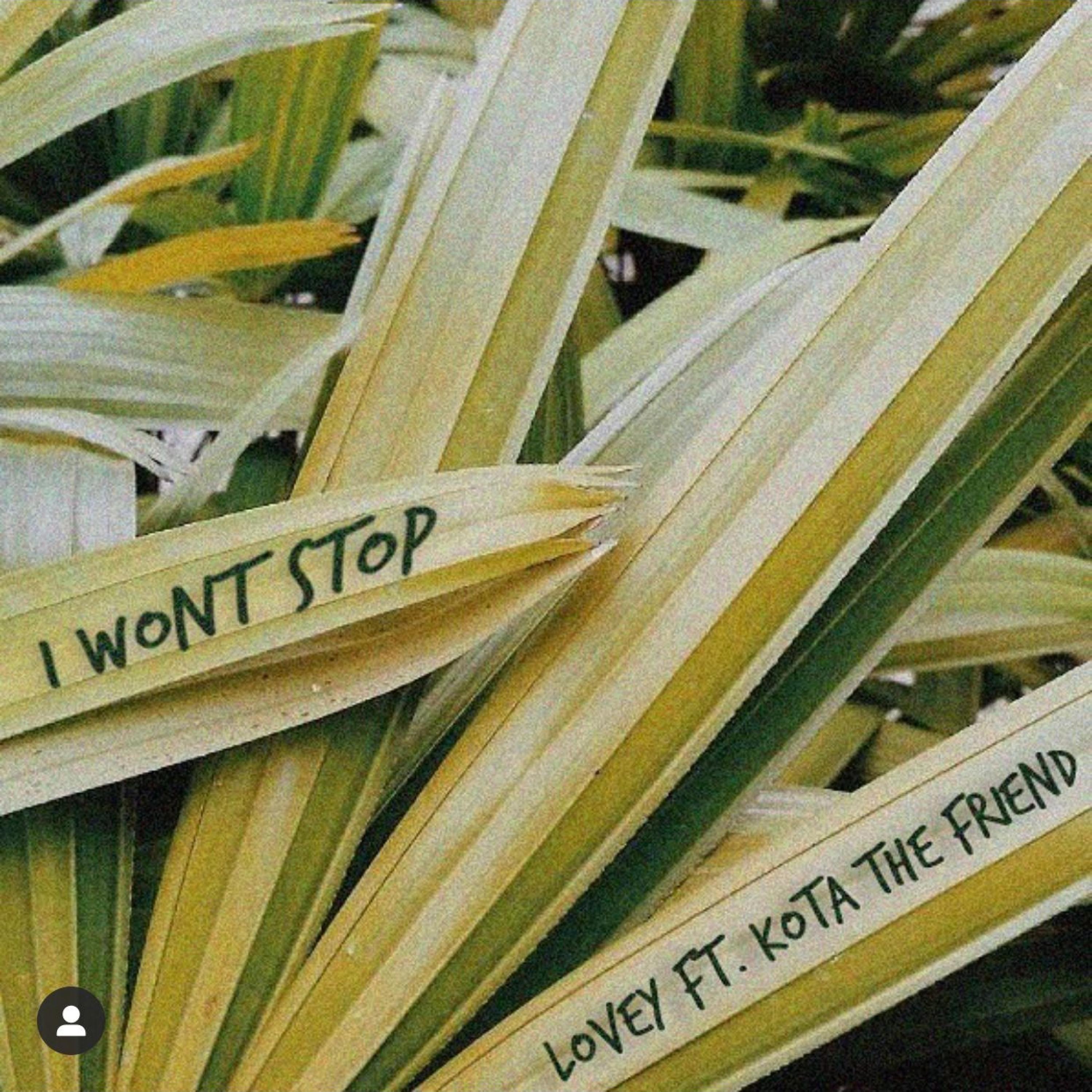 I Wont Stop (feat. Kota the Friend) - Single album cover