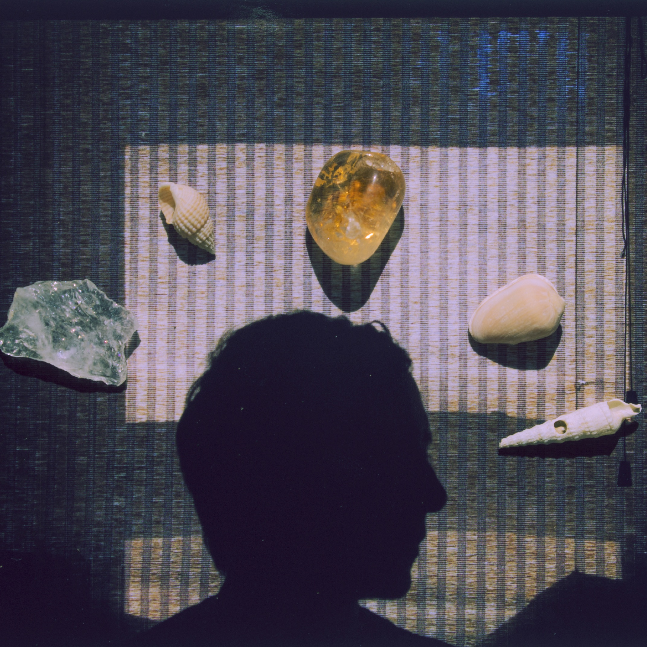 Orchid Mantis Portrait