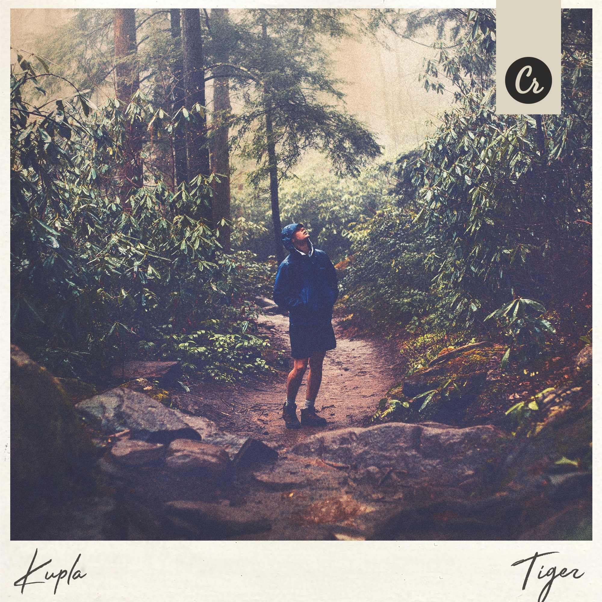 Tiger - Single album cover