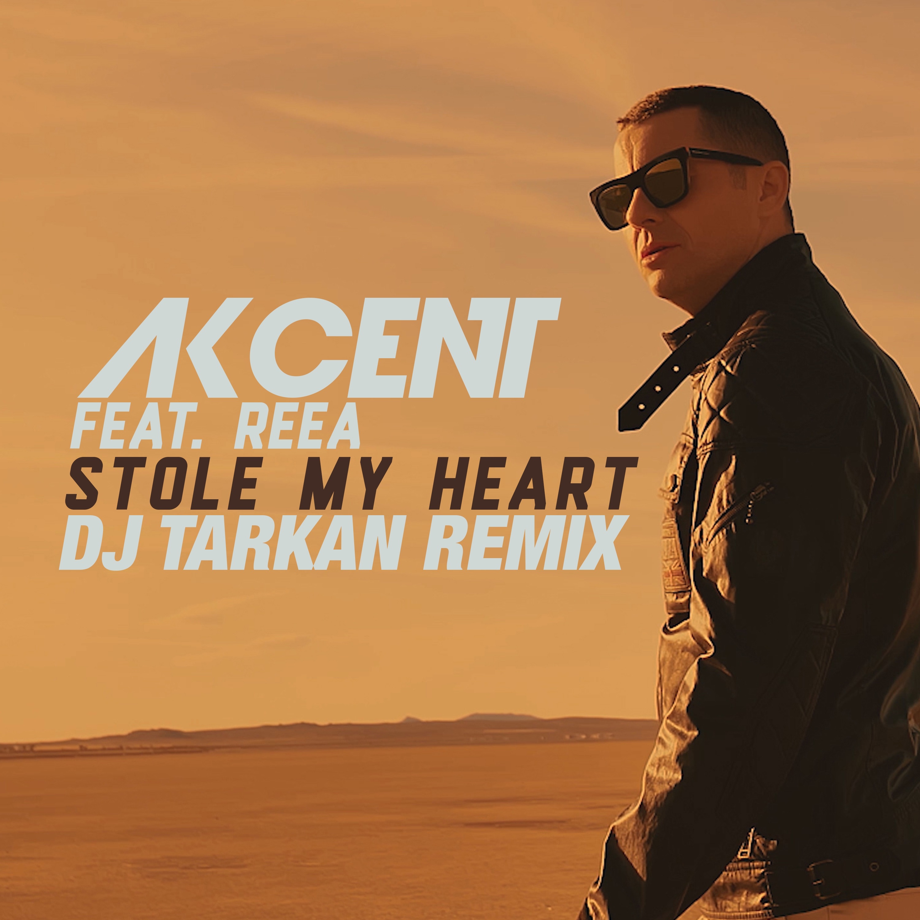 Stole My Heart (feat. Reea) [DJ Tarkan Remix] - Single album cover