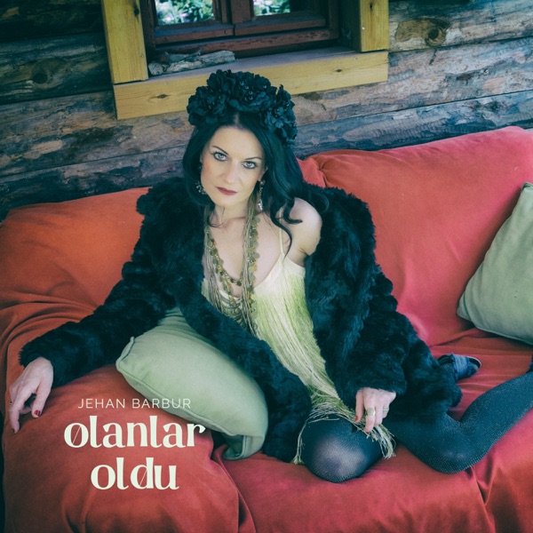 Olanlar Oldu - Single album cover