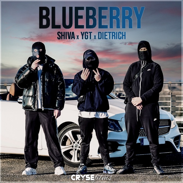 Blueberry (feat. BABY SHIVA) - Single album cover