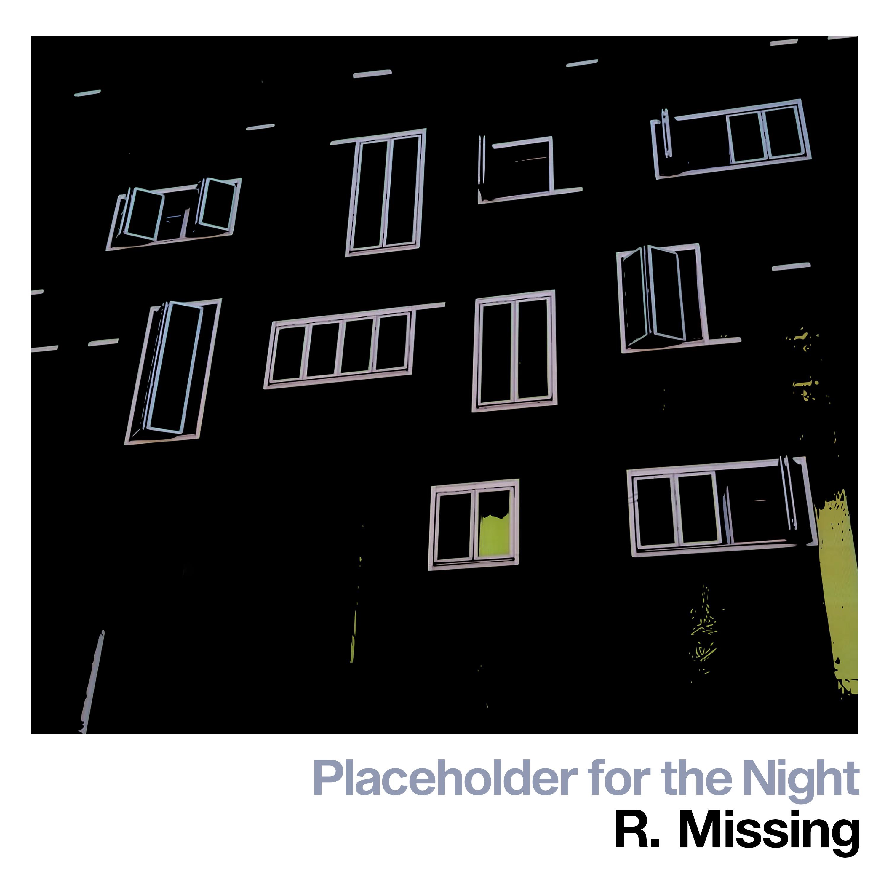 Placeholder for the Night - Single album cover