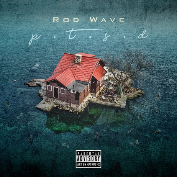PTSD album cover